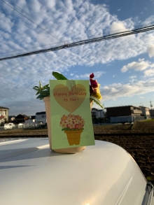 91人目 堀上さま 黄紫色パンジー
