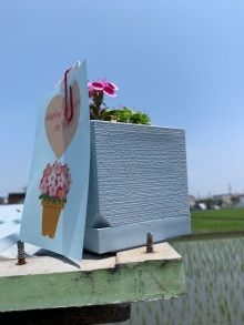 樋口さま