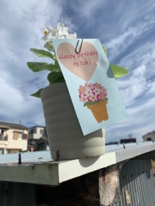 大島さま 白いベゴニア