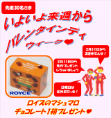 Valentine&#039;s Day 先行案内